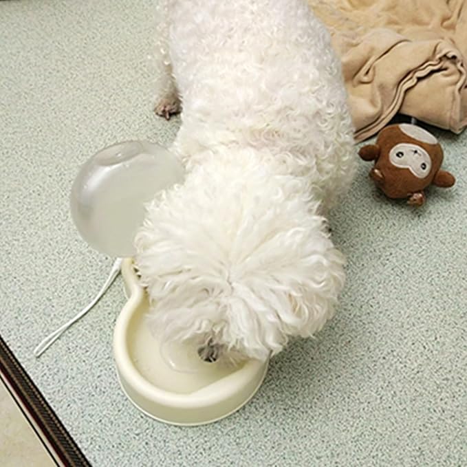 Portable Dog Water Bottle Dispenser, 17oz Dog Outdoor Water Bottle Bowl Foldable Pet Travel Eating Drinking Bottle Bowl (White, 16.9oz)
