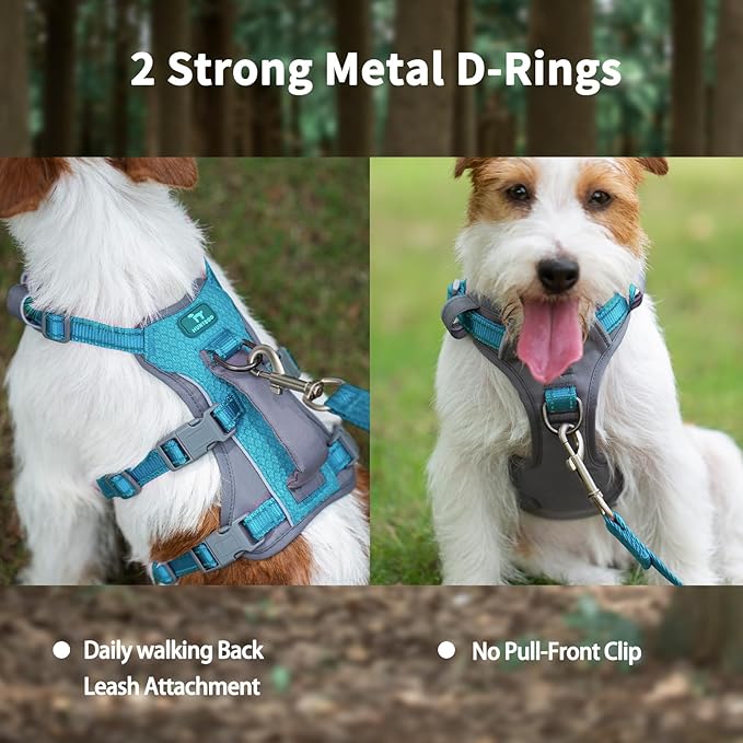 Huntboo Reflective Dog Harness with Handle, Escape Proof, No Slip, Breathable, Lightweight, Adjustable Lift Harness for Small, Medium, and Large Dogs Walking, Training, and Running Gear(Teal Blue,S)