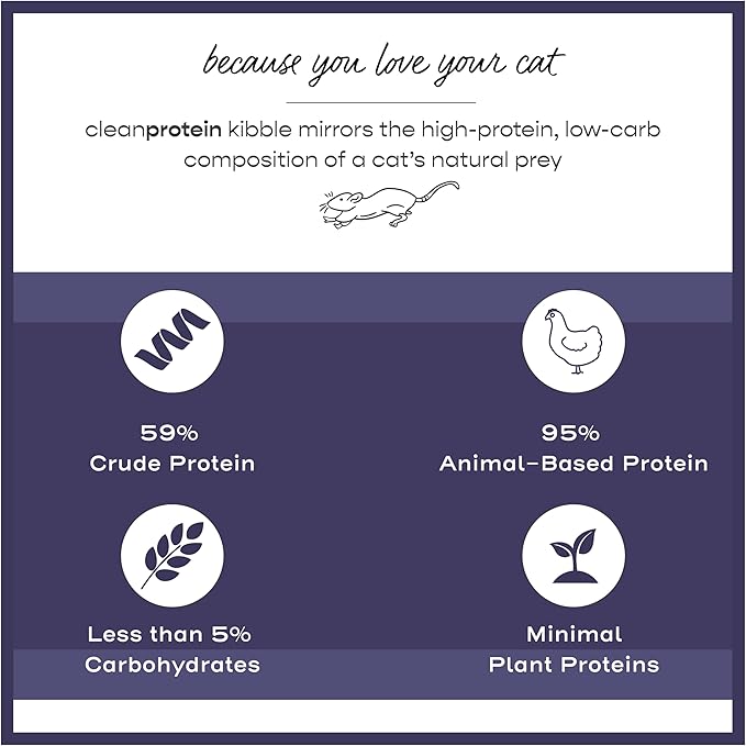 Dr. Elsey's cleanprotein Chicken Cat Kibble 2 lb. Bag