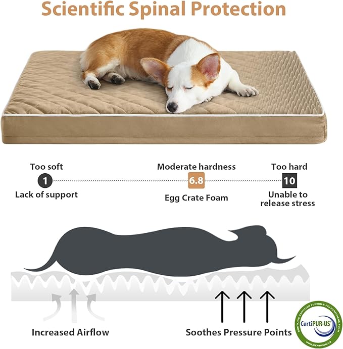 WNPETHOME Orthopedic XL Dog Beds Large Sized Dog, Waterproof Extra Large Dogs Bed with Removable Washable Cover, Multi-Needle Quilting Dogs Crate Bed