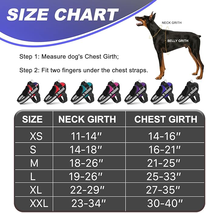 Essential Dog Harness with 3 Leash Clips - No-Pull, Adjustable, Comfortable Pet Vest Harness for Small to Large Dogs - Easy On, No Choke, Reflective, Padded Harness for Walking and Training