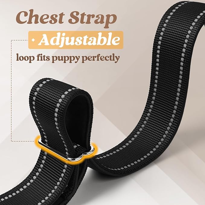 rabbitgoo Dog Harness No Pull, Quick Fit for Small Dogs with Soft Padded Handle, Chest Adjustable Reflective Pet Vest, No Choke Escape Proof for Walking Training, Black S