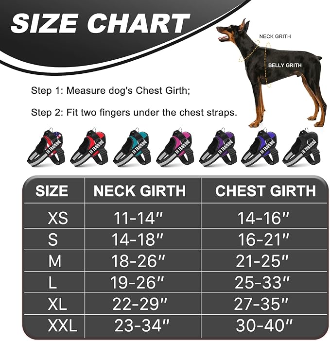 Essential Dog Harness with 3 Leash Clips - No-Pull, Adjustable, Comfortable Pet Vest Harness for Small to Large Dogs - Easy On, No Choke, Reflective, Padded Harness for Walking and Training