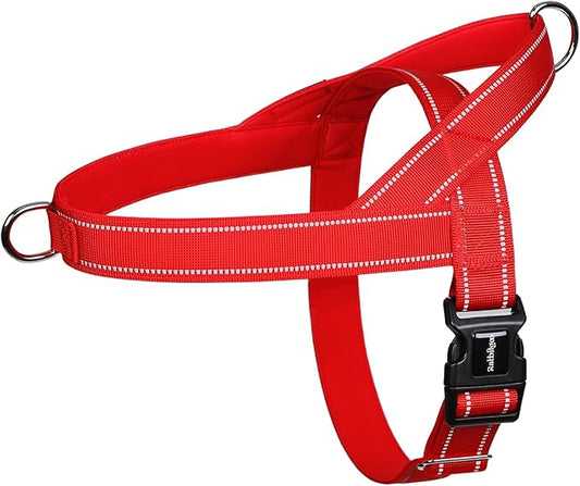 rabbitgoo Dog Harness No Pull, Quick Fit for Small Dogs with Soft Padded Handle, Chest Adjustable Reflective Pet Vest, No Choke Escape Proof for Walking Training, Red S