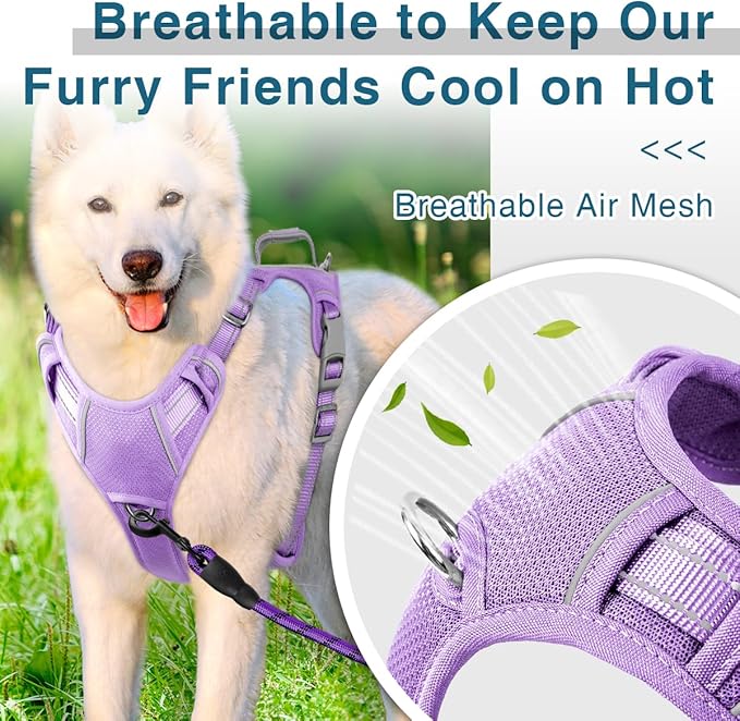 BARKBAY Dog Harness No Pull with ID Tag Pocket - Heavy Duty, Reflective, Easy Control for Large Dogs(Violet Purple,M)