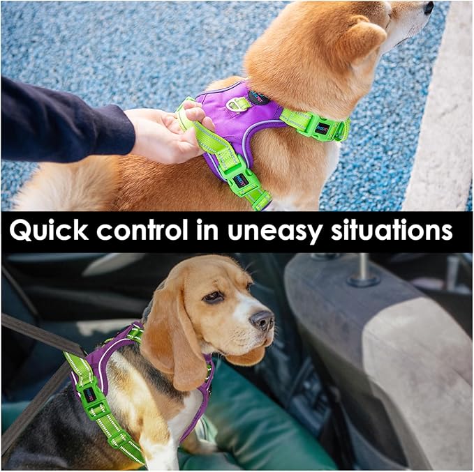 PHOEPET No Pull Dog Harness, Unique Colors Reflective Adjustable Dog Vest, with Soft Training Handle Metal Clips for Small Medium Large Dogs (Purple Base & Green Straps,XL)