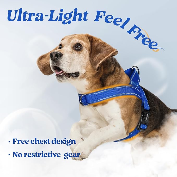 rabbitgoo Dog Harness No Pull, Quick Fit for Large Dogs with Soft Padded Handle, Chest Adjustable Reflective Pet Vest, No Choke Escape Proof for Walking Training, Blue L