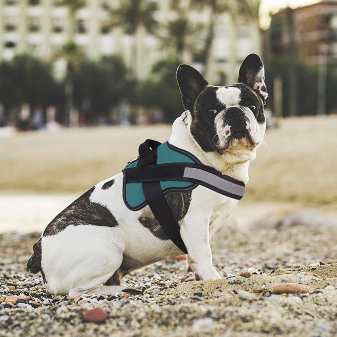 Bolux Dog Harness, No-Pull Reflective Dog Vest, Breathable Adjustable Pet Harness with Handle for Outdoor Walking - No More Pulling, Tugging or Choking (Turquoise, XS)