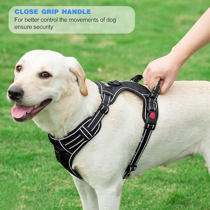 No Pull Harness with A Free Heavy Duty 5ft Leash for Medium Large Dog Adjustable Reflective Oxford Easy Control (L (Neck: 18"-25.5", Chest: 25.5"-31"), Black Harness+Leash)