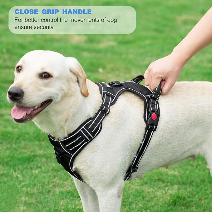 No Pull Dog Harness Adjustable Reflective Oxford Easy Control Medium Large Dog Harness with A Free Heavy Duty 5ft Dog Leash (S (Neck: 14"-17", Chest: 18.5"-20"), Pink/Blue Harness+Leash)