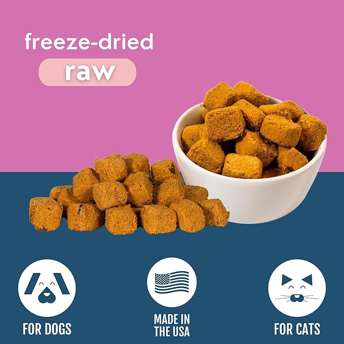 Momentum Carnivore Nutrition Wild-Caught Salmon Dog and Cat Treats - Freeze-Dried Raw - High Protein, Skin & Coat Support, Omega 3s - 3 oz Bag