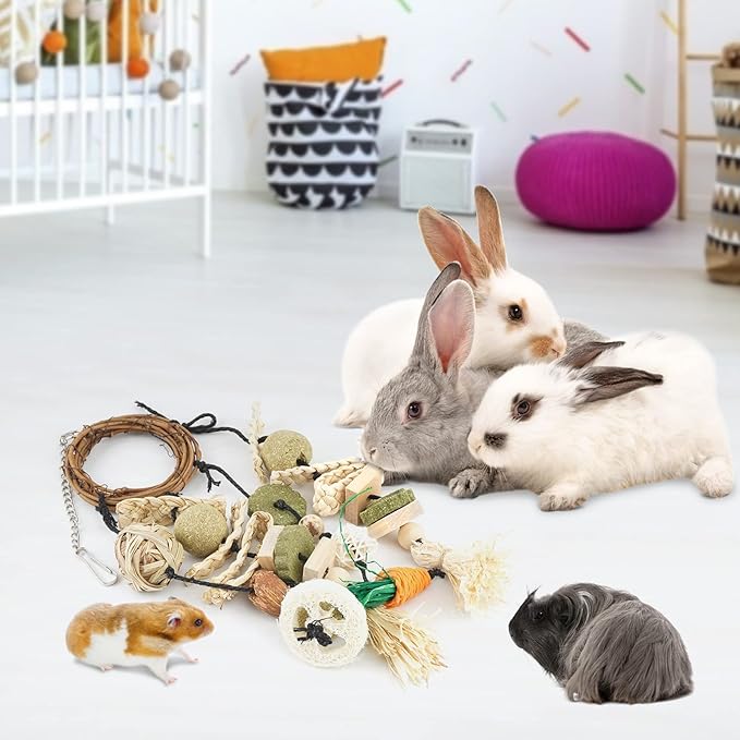 Bissap Bunny Chew Toy, 2 Packs Rabbits Cage Hanging Chew Toys and Treats Rattan Ring with Snacks for Guinea Pigs Chinchillas Hamsters Rats and Other Small Pets Teeth Grinding
