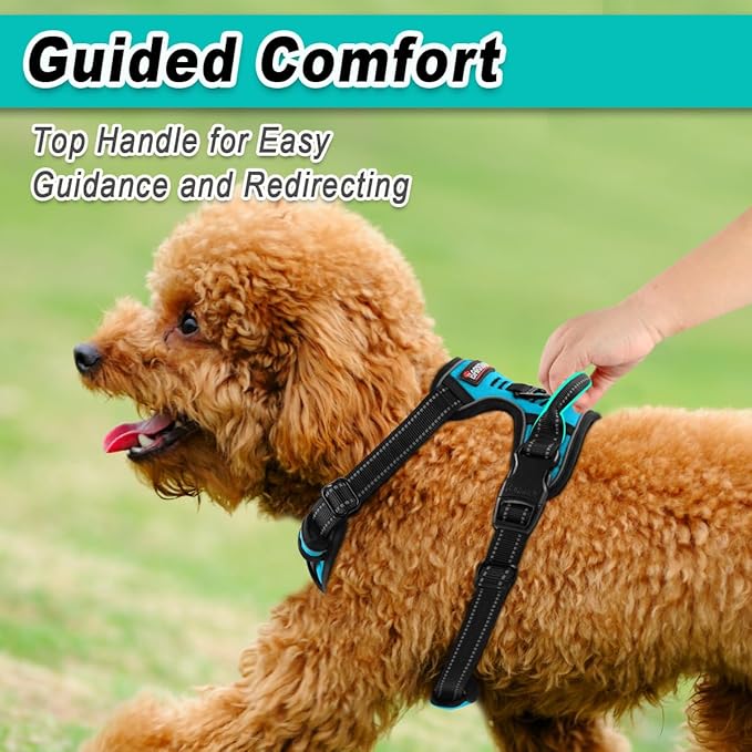 BARKBAY Dog Harness No Pull for Small Dogs - Adjustable, Reflective, Comfortable, No Choke, Heavy-Duty - Perfect for Outdoor Training, Walking, and Hiking - Strong & Durable - XS & Blue
