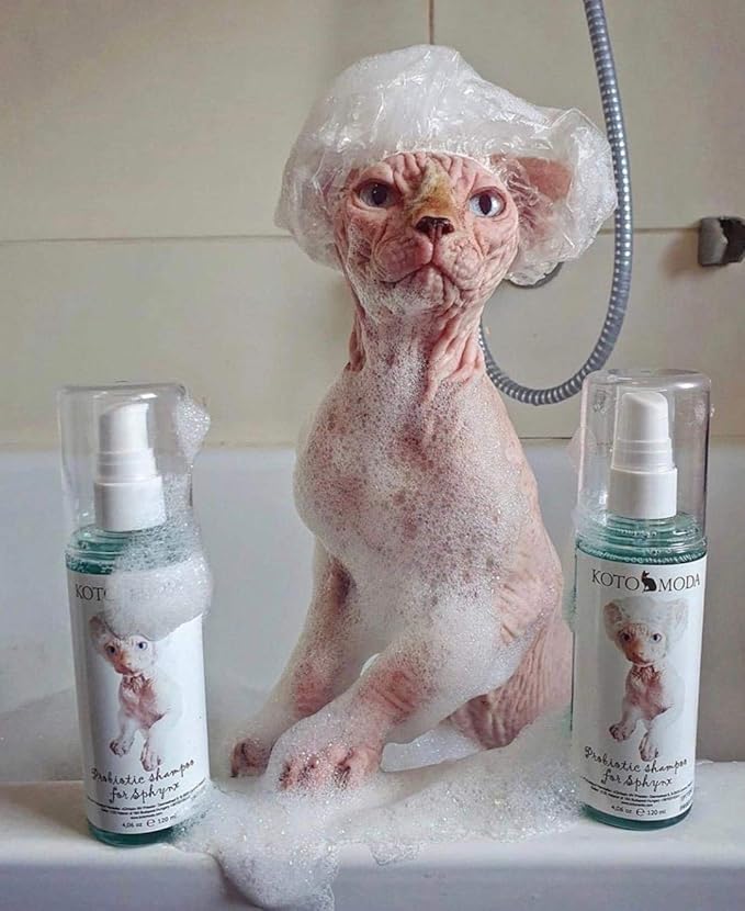Probiotic Shampoo for Sphynx Cats (8.45)