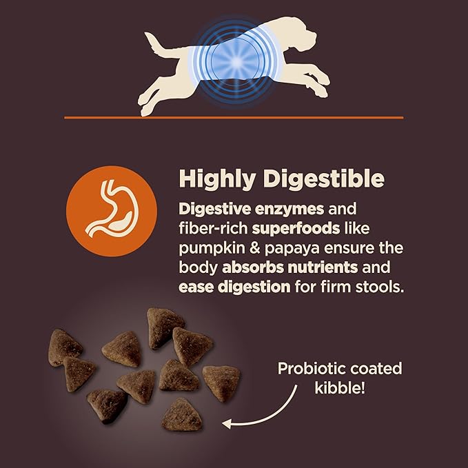 Wellness CORE Digestive Health Dry Dog Food, Large Breed, Wholesome Grains, Natural, Recipe for Dogs with Sensitive Stomachs, Chicken, (24-Pound Bag)