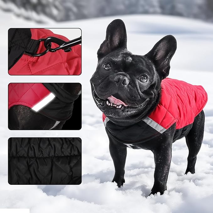 Reversible Waterproof Dog Coat - Adjustable Winter Jacket for Small to Large Breeds, Warm Cold Weather Apparel for Medium Dogs (Army Green & Orange, Large (Pack of 1))