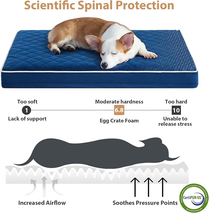 WNPETHOME Orthopedic Dog Bed Medium Size Dog, Waterproof Medium Dogs Bed with Removable Washable Cover, Multi-Needle Quilting Dogs Crate Bed