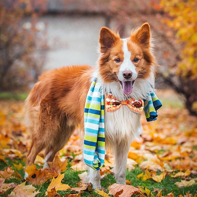 Eccliy 50 Pcs Fall Dog Bow Ties Collars for Dogs Adjustable Autumn Dog Bow Ties Neckties Set Thanksgiving Puppy Bows Grooming with Pumpkin Turkey Maple Leaves Pattern for Puppy Grooming Accessories