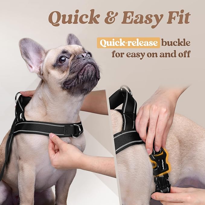 rabbitgoo Dog Harness No Pull, Quick Fit for Medium Sized Dog with Soft Padded Handle, Chest Adjustable Reflective Pet Vest, No Choke Escape Proof for Walking Training, Blue M