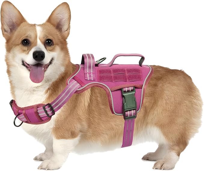 Small Dog Harness, Heavy Duty Tactical No Pull Dog Harness, No Choke, Easy On and Off Pet Vest with Molle System, Adjustable Reflective Dog Vest with Breathable Padded for Walking Hiking Training