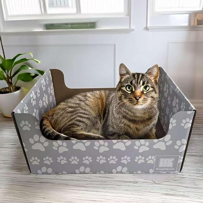 SnuggleSprunce 2-in-1 Cat Scratcher, Heavy Duty Scratching Toy, Eco-Friendly Cardboard Box with Refillable Double Sided Scratch Pad, for Cats and Kitty, Indoor Pet Furniture, Light Gray