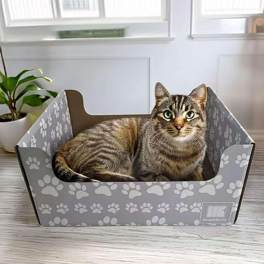 SnuggleSprunce 2-in-1 Cat Scratcher, Heavy Duty Scratching Toy, Eco-Friendly Cardboard Box with Refillable Double Sided Scratch Pad, for Cats and Kitty, Indoor Pet Furniture, Light Gray