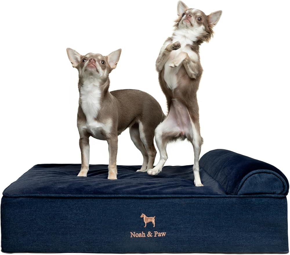 NOAH & PAW Dog Bed, 28x23x7.5 Inch, Orthopedic Dog Beds for Medium Size Pets, Eggshell Memory Foam Infused with Cooling Gel, Waterproof, Machine Washable, Includes Inner Cover (Denim Collection)