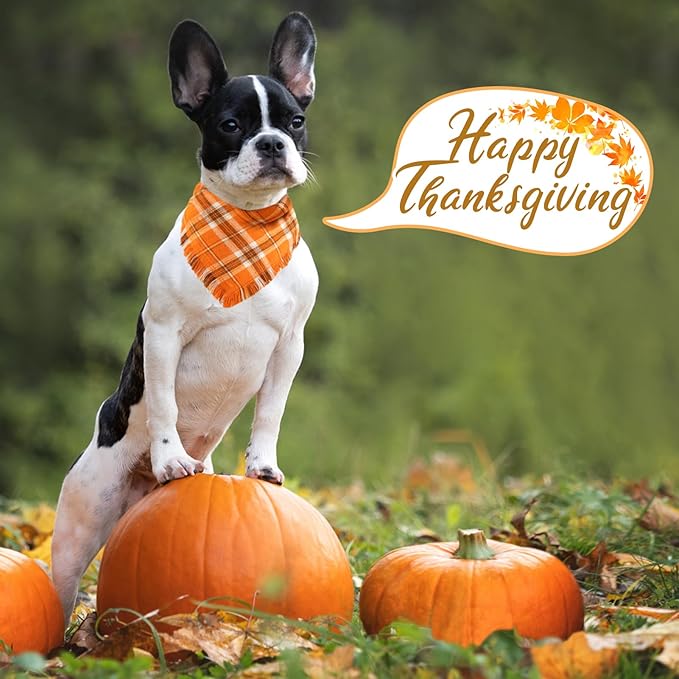 Kytely Thanksgiving Fall Dog Bandana 2Pack, Autumn Dog Bandanas, Orange Plaid Pet Scarf for Boy and Girl, Holiday Halloween Reversible Triangle Bibs Accessories for Dogs Pets(Small)