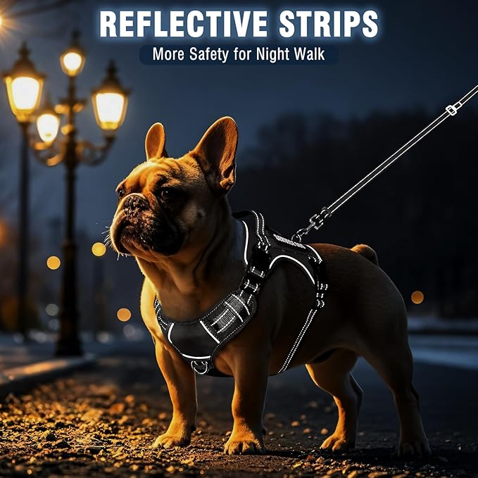 Tactical Dog Harness and Leash Set Medium Sized Dog,Heavy Duty No Pull Service Dog Vest and 10 Patches with Dog Seat Belt,Reflective Adjustable Pet Harness for Training Walking Hiking Black M