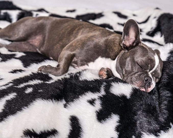 PupProtector Waterproof Throw Blanket for Dogs and Cats, Pet Blanket Cover for Couches, Sofas, Beds, Car Seats, Furniture, Calming Soft Faux Fur, Black and White Cowhide, Original (60" L x 50" W)