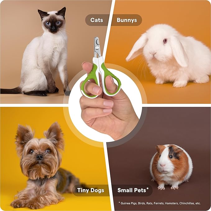 Pet Nail Clippers for Indoor Cats & Small Animals - Precision Angled Blades & Steady Grip - Ideal for Kittens Tiny Dogs Rabbits Birds - Nail Trimmer & Claw Scissors for Home Grooming - eBook Guide