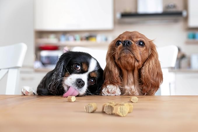 Healthy Dog Reward Treats - Hive Bites - 12 oz. Ñ All Natural Small Dog Bites for Training, Natural Peanut Butter Flavored, Vegetarian Chews, Made in The USA