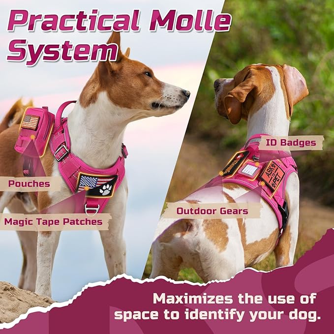 rabbitgoo Tactical Dog Harness for Small Dogs, No Pull Military Service Vest with Handle & Molle, Easy Control for Training Walking, Adjustable Reflective Straps, Rose Red, S