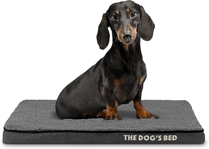 The Dog’s Bed Orthopedic Memory Foam Dog Bed, Small Grey Plush, Pain Relief for Arthritis, Hip & Elbow Dysplasia, Post Surgery, Lameness, Supportive, Calming, Waterproof Washable Cover