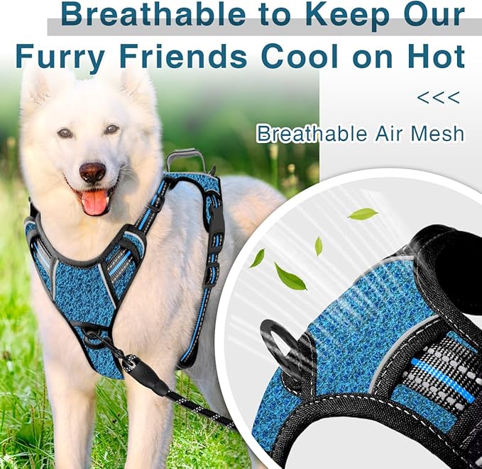 BARKBAY Dog Harness No Pull with ID Tag Pocket - Heavy Duty, Reflective, Easy Control for Large Dogs(Blue/Black,S)