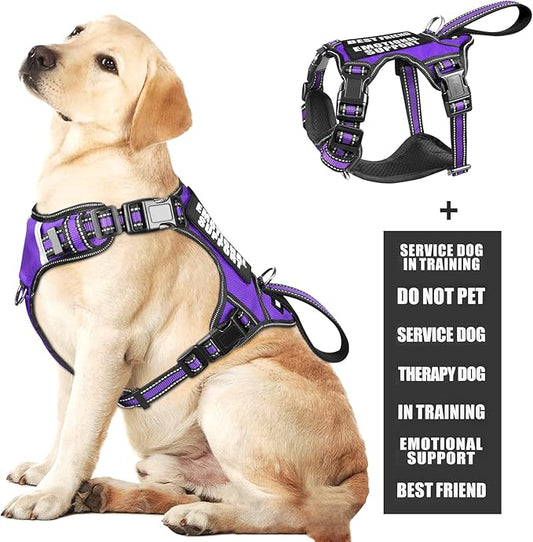 WINSEE Service Dog Vest No Pull Dog Harness with 7 Dog Patches, Reflective Pet Harness with Durable Soft Padded Handle for Puppies, Small, Medium, Large, and Extra-Large Dogs