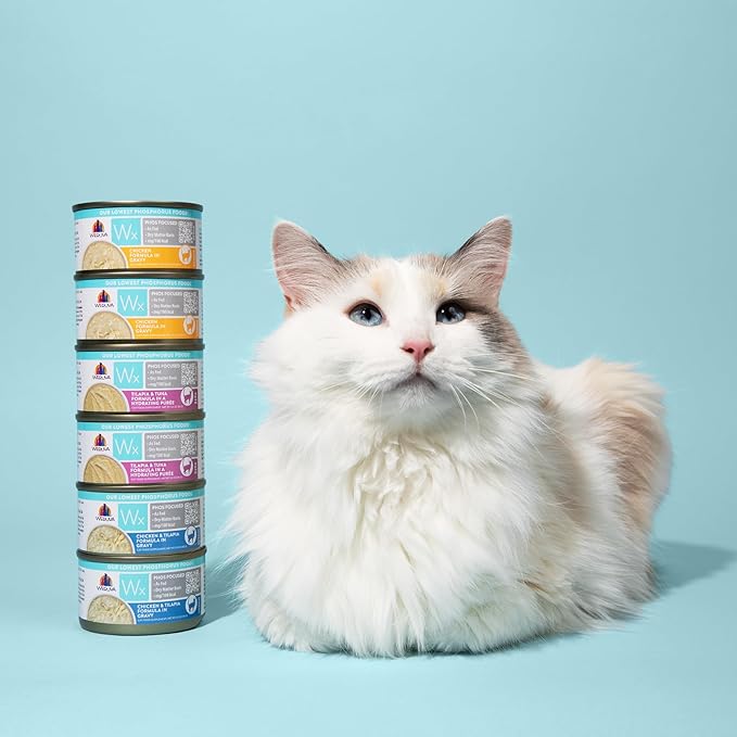 Weruva Wx Phos Focused Gravy and Pate Formulas 5.5oz Can Variety Pack, Pack of 12