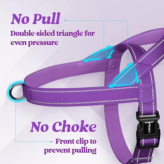 rabbitgoo Dog Harness No Pull, Quick Fit for Small Dogs with Soft Padded Handle, Chest Adjustable Reflective Pet Vest, No Choke Escape Proof for Walking Training, Purple S
