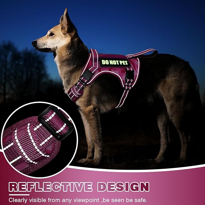 WINSEE Tactical Dog Harness, No Pull Dog Harness for Medium Large Dogs with Handle & Molle, Military Service Dog Vest Harness in Training Pet Harness for Small Dogs