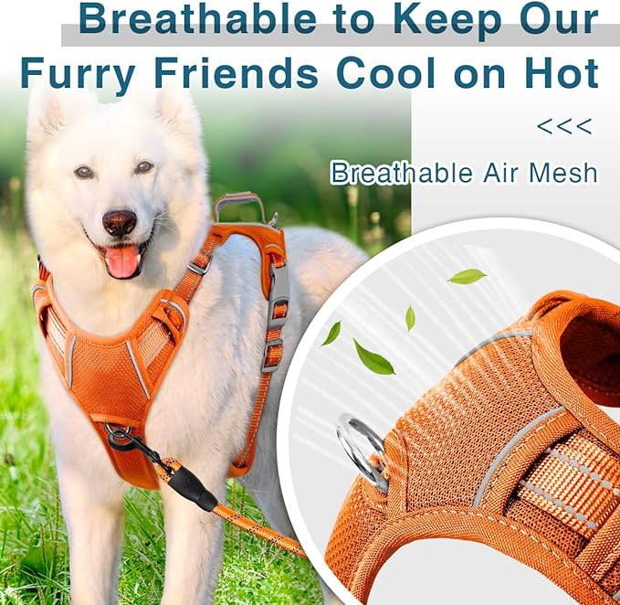 BARKBAY Dog Harness No Pull with ID Tag Pocket - Heavy Duty, Reflective, Easy Control for Large Dogs(Orange,M)