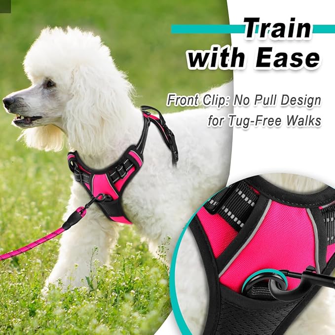 BARKBAY Dog Harness No Pull for Small Dogs - Adjustable, Reflective, Comfortable, No Choke, Heavy-Duty - Perfect for Outdoor Training, Walking, and Hiking - Strong & Durable - XS & Pink