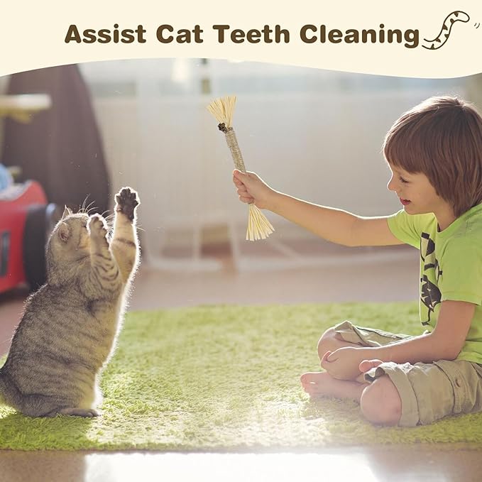 2 Pack Silvervine Sticks for Cats - Cat Chew Toy for Teeth Cleaning, Edible Matatabi Kitty Chew Sticks, Catnip Cat Toys for Indoor Cats (2 Sticks)