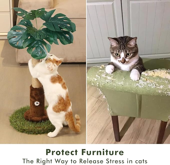 Cat Scratching Posts Cat Trees 26.4" Tall with Sisal Rope Cat Toy and Hanging Ball for Indoor,Wooden Palm Tree Cat Scratch Pole for Kitty