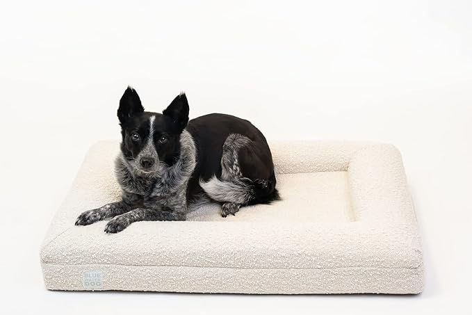 Luxury Boucle Orthopedic Memory Foam Dog Bed with Waterproof Liner and Machine Washable Cover with YKK Zippers (Medium 37" L x 30" W x 6" Th, Cloud)