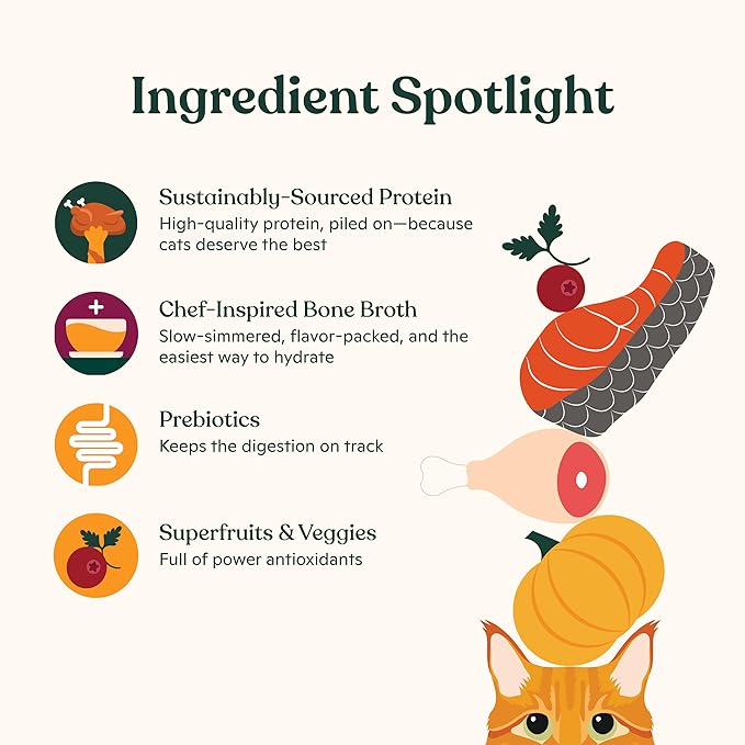 Made by Nacho Wet Cat Food Variety 12 Pack (3oz Each), Cage-Free Chicken, Sustainably Caught Salmon, Grass-Fed Beef with Bone Broth for Extra Hydration, Gravy Cut Pouches