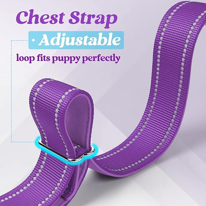 rabbitgoo Dog Harness No Pull, Quick Fit for Large Dogs with Soft Padded Handle, Chest Adjustable Reflective Pet Vest, No Choke Escape Proof for Walking Training, Purple M