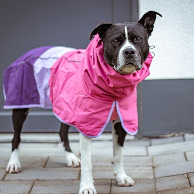 Spark Paws Dog Raincoat, Waterproof Windproof Rain Jacket, for Small Medium Large Extra Large Dogs, Reflective Breathable Full-Body Coverage Dry Suit - Pink Lilac Purple - 3XL