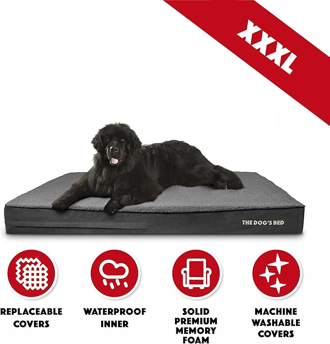 The Dog’s Bed Orthopedic Jumbo Memory Foam Dog Bed, XXXL Grey Plush, Pain Relief for Arthritis, Hip & Elbow Dysplasia, Post Surgery, Lameness, Supportive, Waterproof Washable Cover