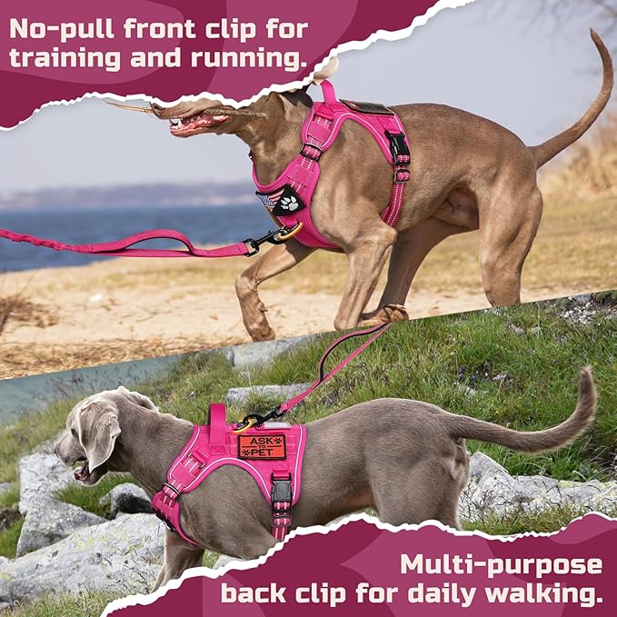 rabbitgoo Tactical Dog Harness for Large Dogs, No Pull Military Service Vest with Handle & Molle, Easy Control for Training Walking, Adjustable Reflective Straps, Rose Red, L