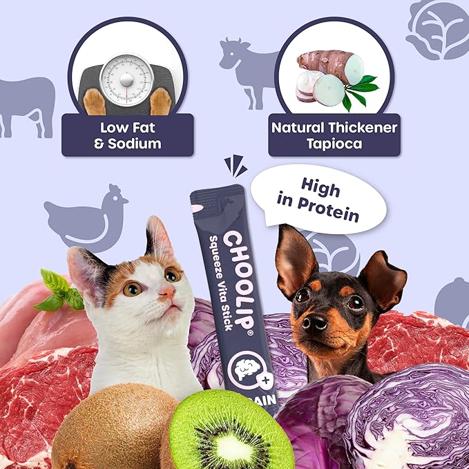 Choolip Squeeze Vita Stick Lickable Cat and Dog Treats – 49-Count Brain Support Sticks with Multivitamins, Soft Squeezable Paste for All Life Stages, Supporting Brain Health